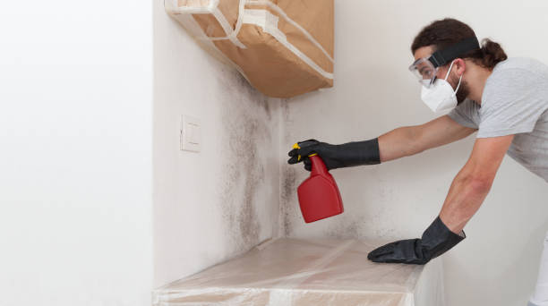Professional Bathroom Mold Removal technician working in Munson, PA