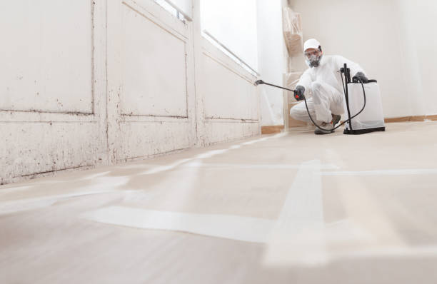 24/7 Emergency Bathroom Mold Removal experts in Munson, PA